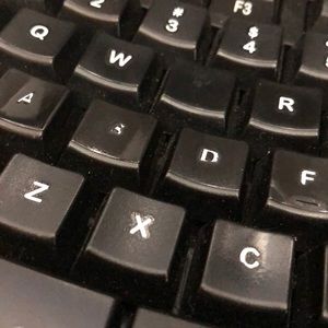 Meet your Posher, Shannon